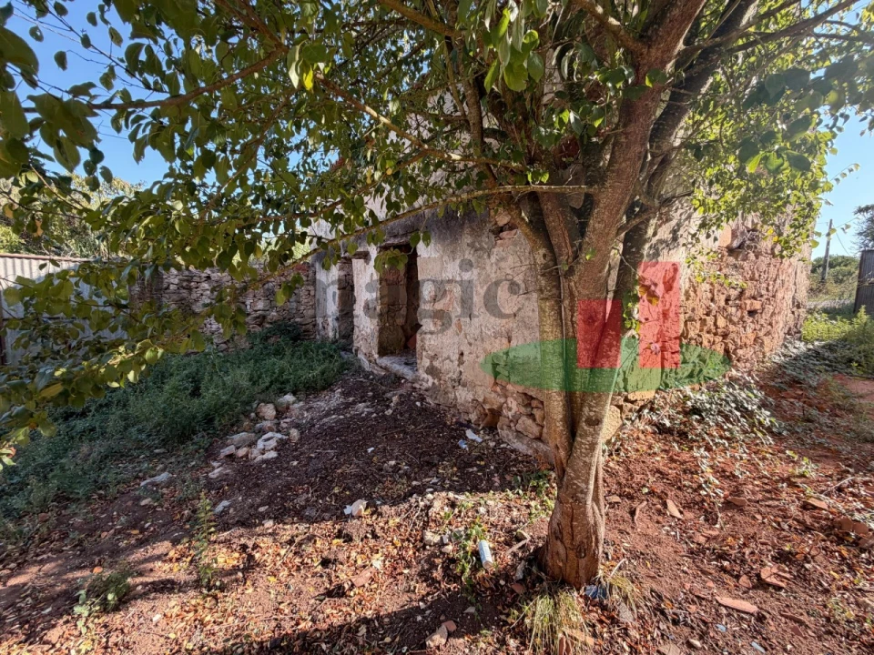 Terreno para Venda em Turquel Foto 39