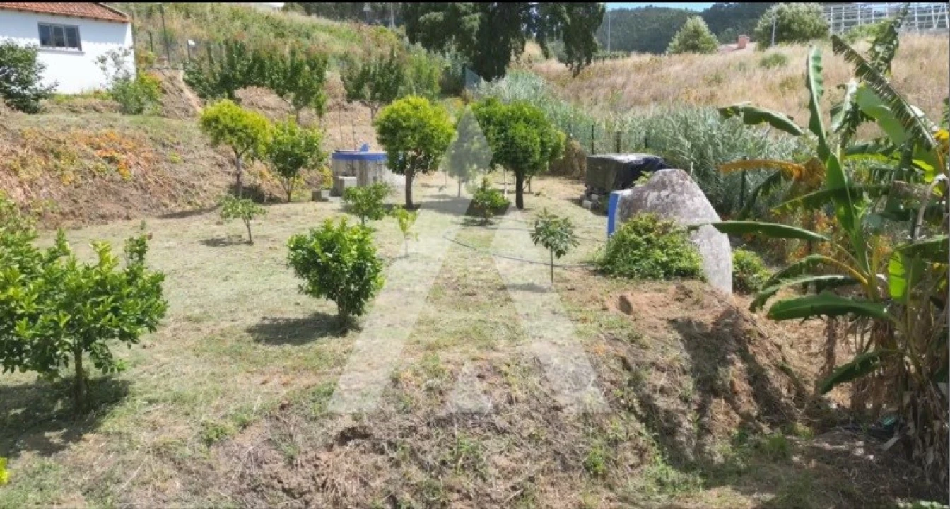 Moradia T3 para Venda em Malveira e São Miguel de Alcainça Foto 11