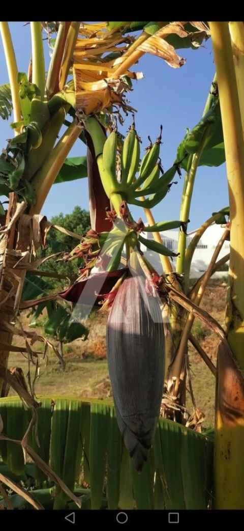 Moradia T3 para Venda em Malveira e São Miguel de Alcainça