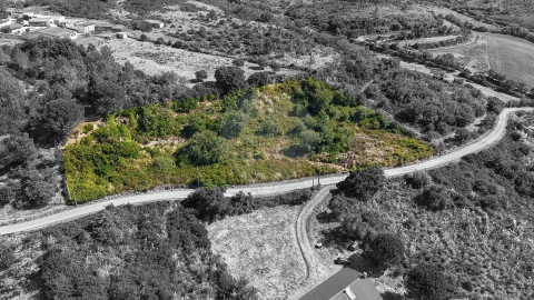 Terreno para Venda em Arranho