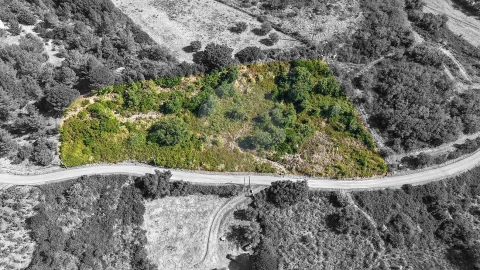 Terreno para Venda em Arranho