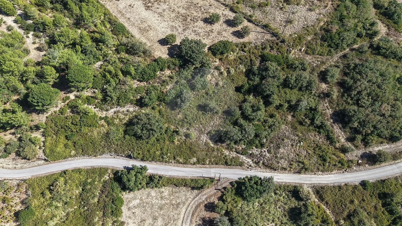 Terreno para Venda em Arranho Foto 14