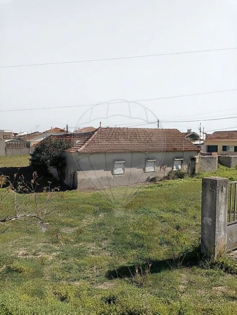 Moradia T0 para Venda em Oliveirinha