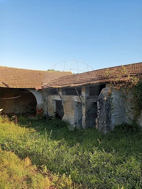 Moradia T0 para Venda em Oliveirinha