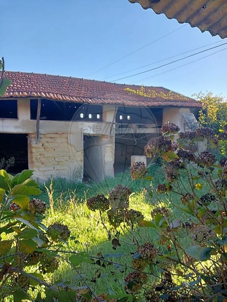 Moradia T0 para Venda em Oliveirinha Foto 2