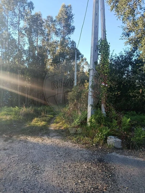 Terreno para Venda em São João de Ver