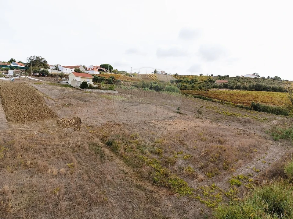 Terreno para Venda em Ribafria e Pereiro de Palhacana Foto 6