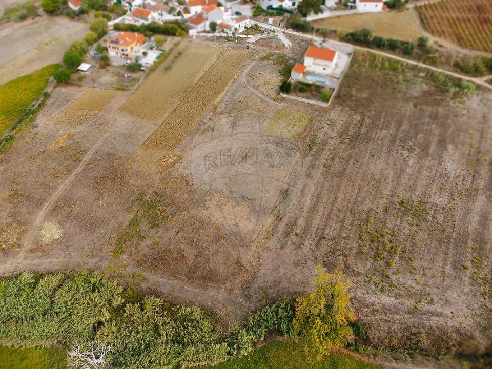 Terreno para Venda em Ribafria e Pereiro de Palhacana Foto 3