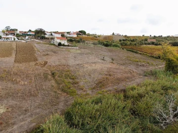 Terreno para Venda em Ribafria e Pereiro de Palhacana