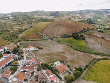 Terreno para Venda em Ribafria e Pereiro de Palhacana