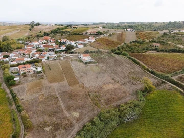 Terreno para Venda em Ribafria e Pereiro de Palhacana