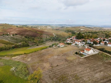 Terreno para Venda em Ribafria e Pereiro de Palhacana