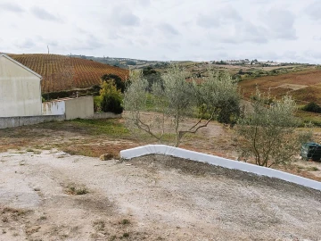 Terreno para Venda em Ribafria e Pereiro de Palhacana