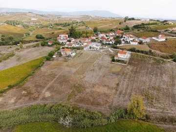 Terreno para Venda em Ribafria e Pereiro de Palhacana