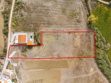 Terreno para Venda em Ribafria e Pereiro de Palhacana
