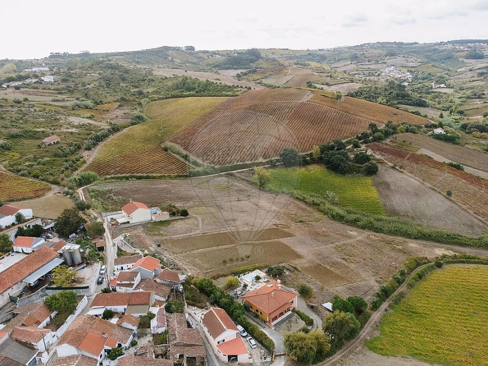 Terreno para Venda em Ribafria e Pereiro de Palhacana Foto 14