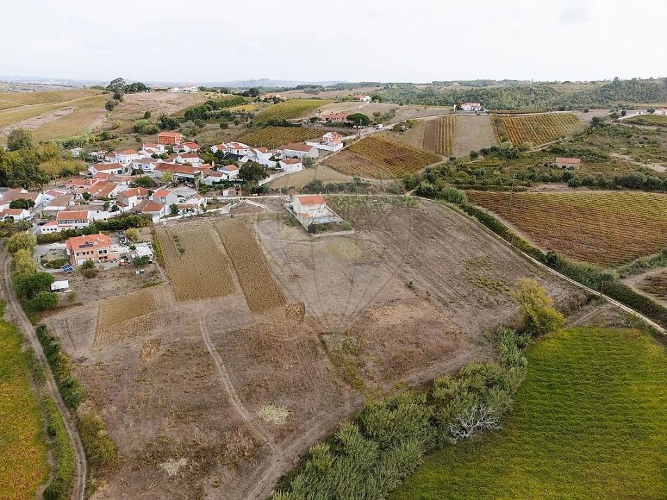 Terreno para Venda em Ribafria e Pereiro de Palhacana Foto 2