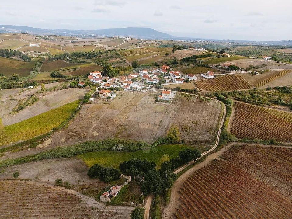 Terreno para Venda em Ribafria e Pereiro de Palhacana Foto 13