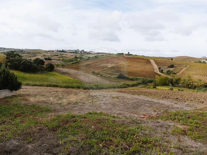 Terreno para Venda em Ribafria e Pereiro de Palhacana Foto 8
