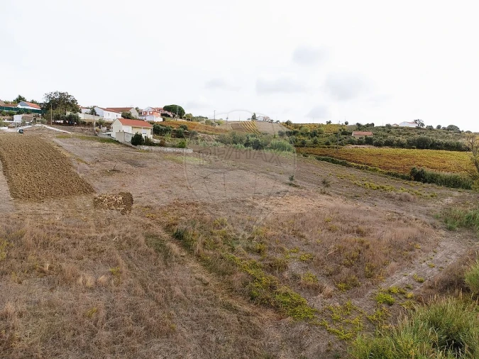 Terreno para Venda em Ribafria e Pereiro de Palhacana Foto 6