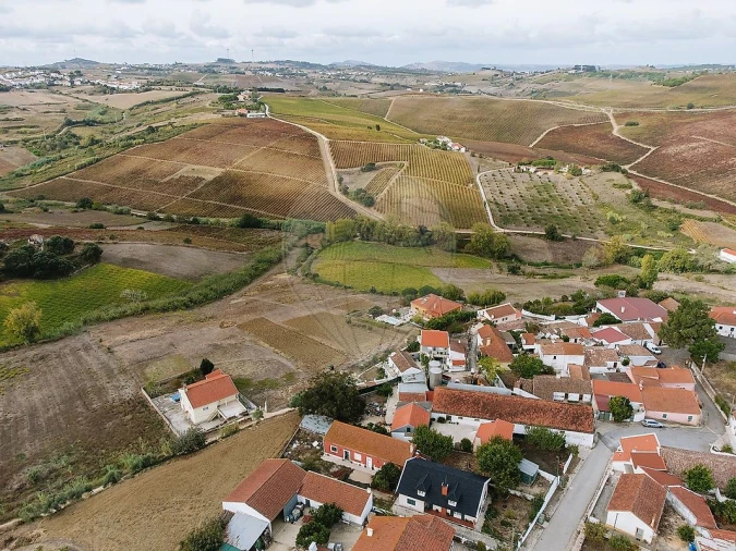 Terreno para Venda em Ribafria e Pereiro de Palhacana Foto 15