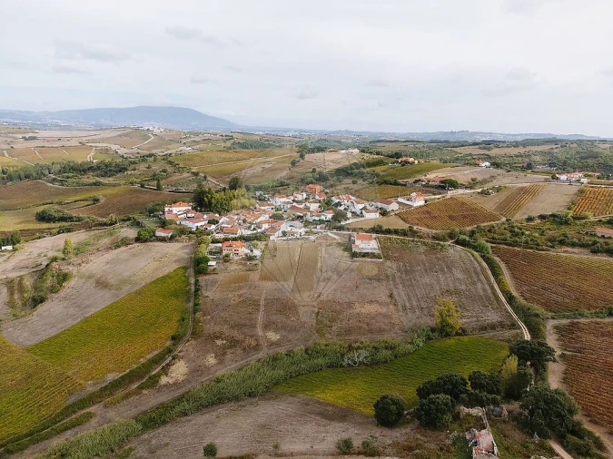 Terreno para Venda em Ribafria e Pereiro de Palhacana Foto 12