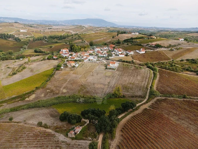 Terreno para Venda em Ribafria e Pereiro de Palhacana Foto 13
