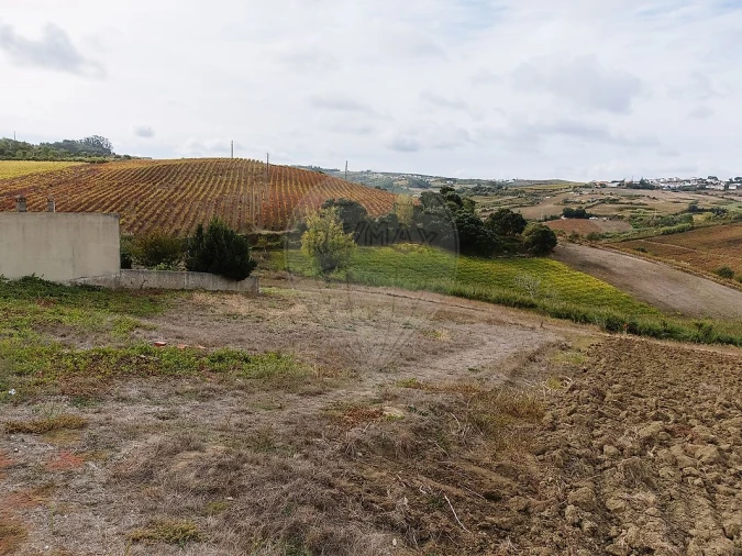 Terreno para Venda em Ribafria e Pereiro de Palhacana Foto 7