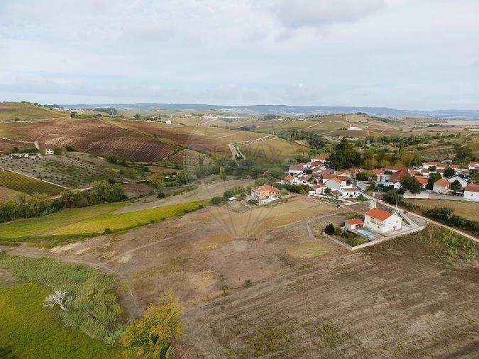 Terreno para Venda em Ribafria e Pereiro de Palhacana Foto 10