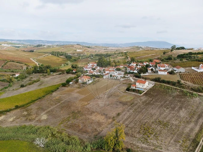 Terreno para Venda em Ribafria e Pereiro de Palhacana Foto 11