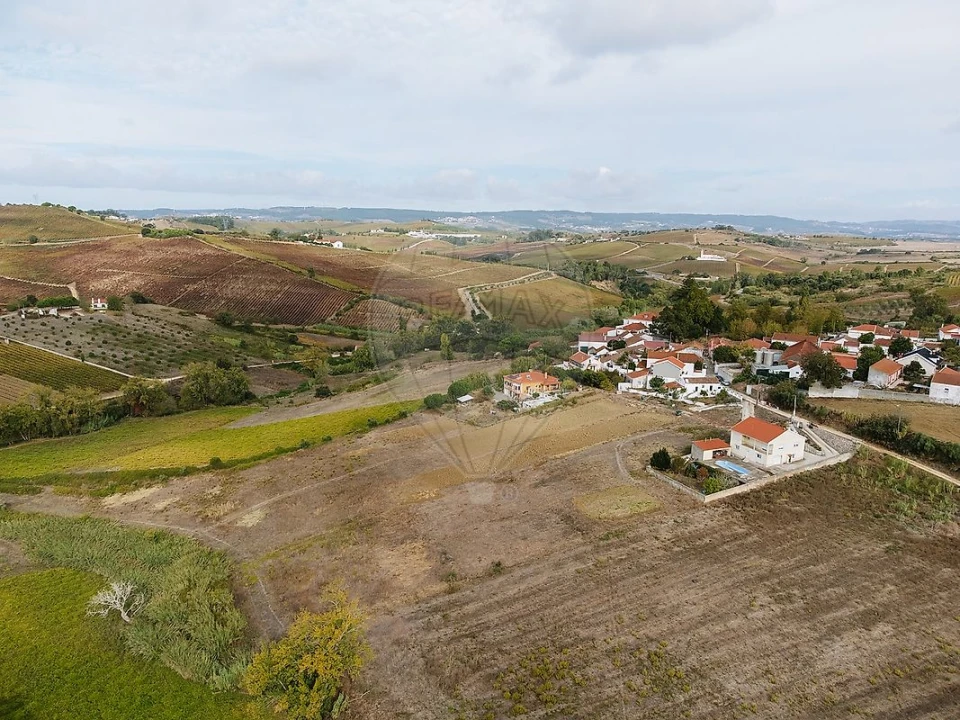 Terreno para Venda em Ribafria e Pereiro de Palhacana Foto 10