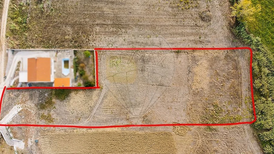 Terreno para Venda em Ribafria e Pereiro de Palhacana