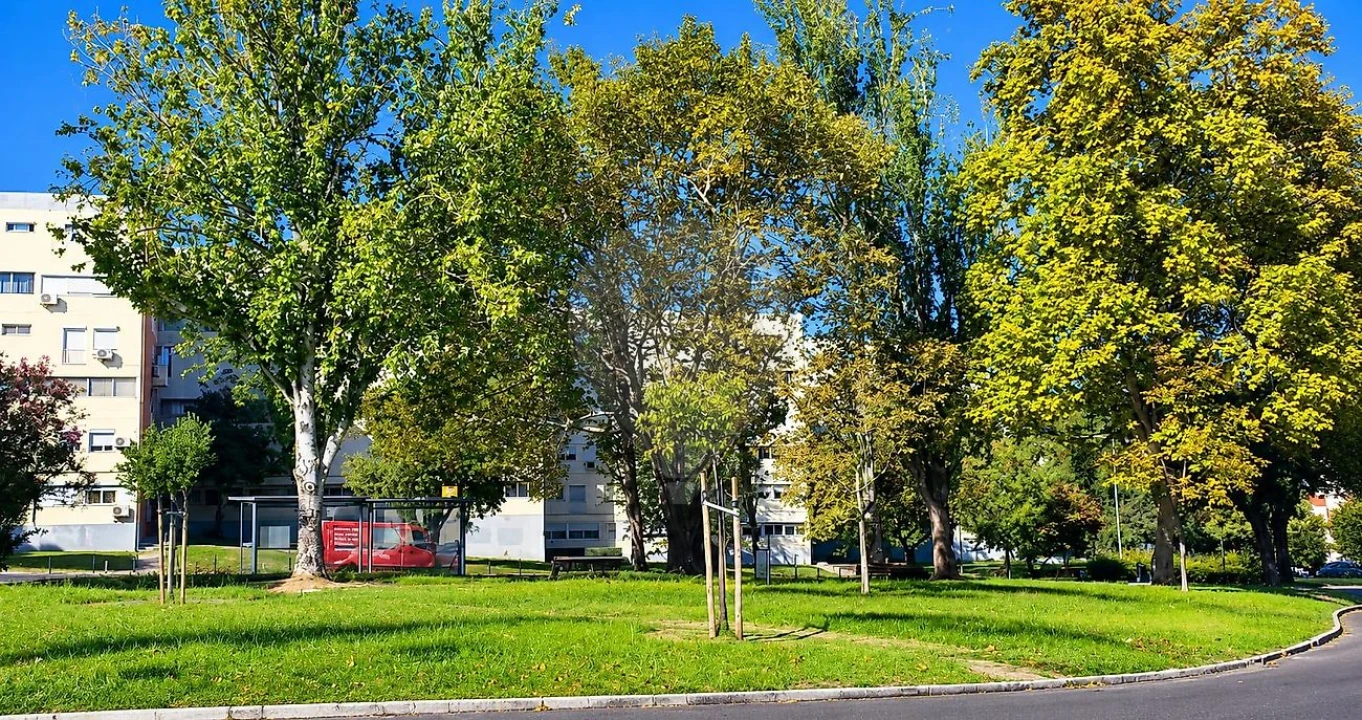 Apartamento T3 para Venda em Olivais Foto 7