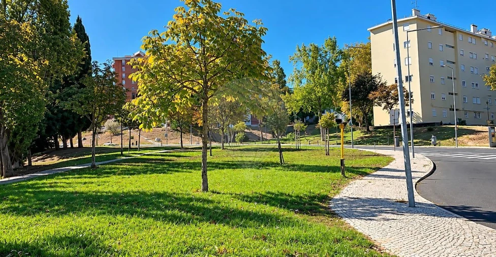 Apartamento T3 para Venda em Olivais Foto 6