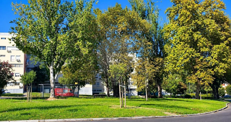Apartamento T3 para Venda em Olivais Foto 7