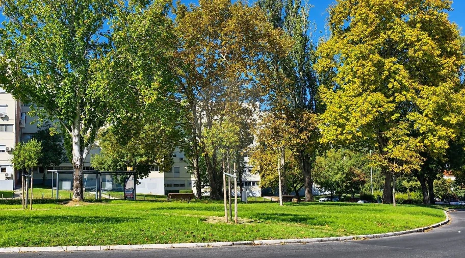 Apartamento T3 para Venda em Olivais Foto 8