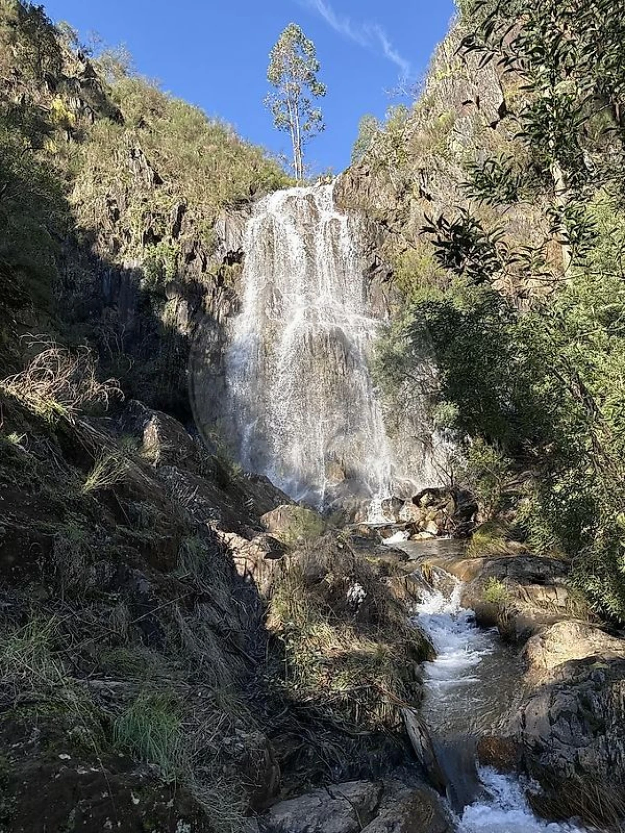 Terreno para Venda em Rio Mau Foto 9