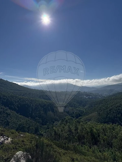 Terreno para Venda em Rio Mau
