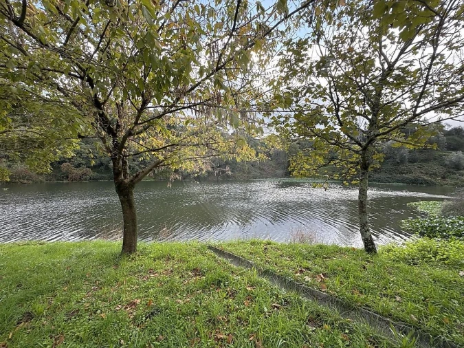 Terreno para Venda em Rio Mau Foto 6