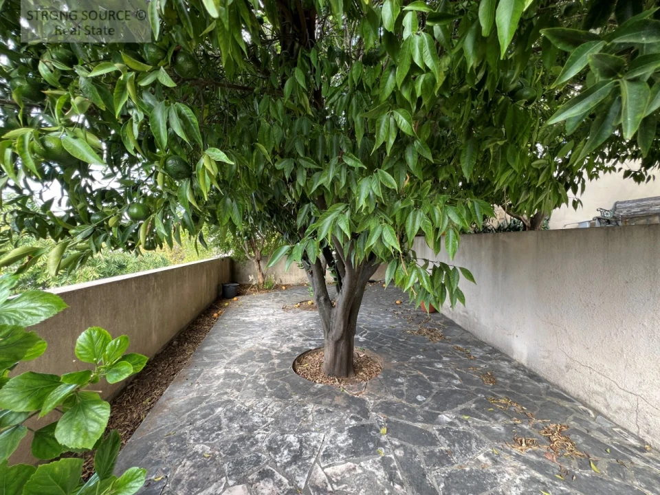 Apartamento T2 para Venda em São Vicente Foto 68