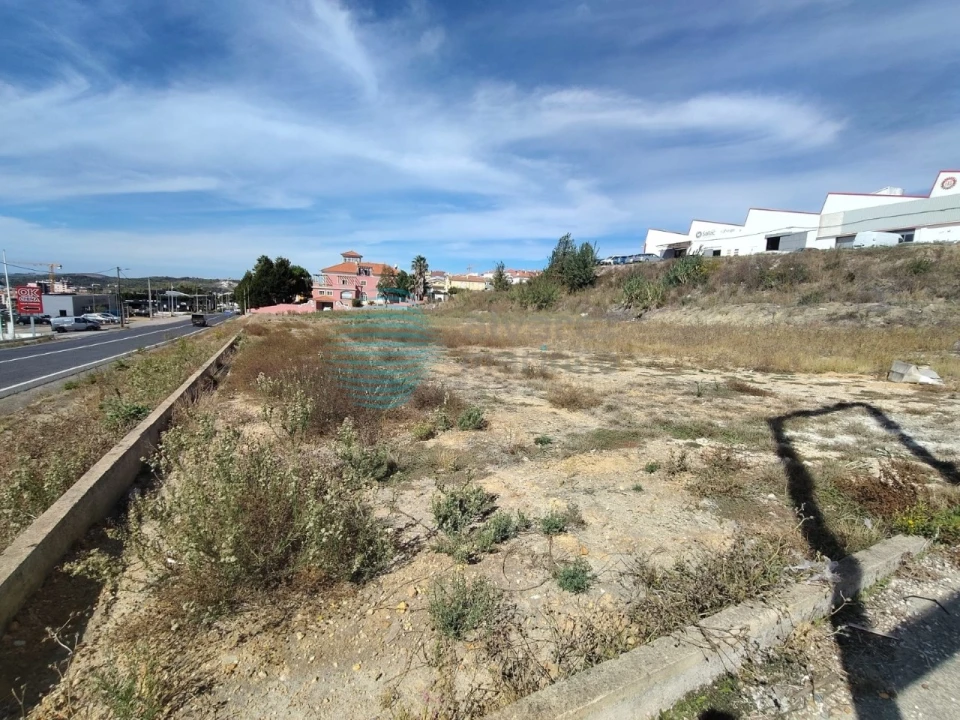 Terreno para Arrendamento em Santa Maria, São Pedro e Matacães Foto 5
