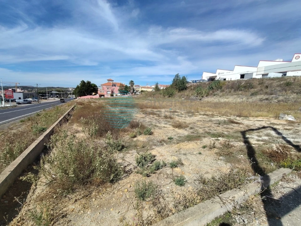 Terreno para Arrendamento em Santa Maria, São Pedro e Matacães Foto 5