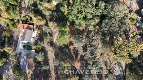 Quinta T2 para Venda em Alvaiázere