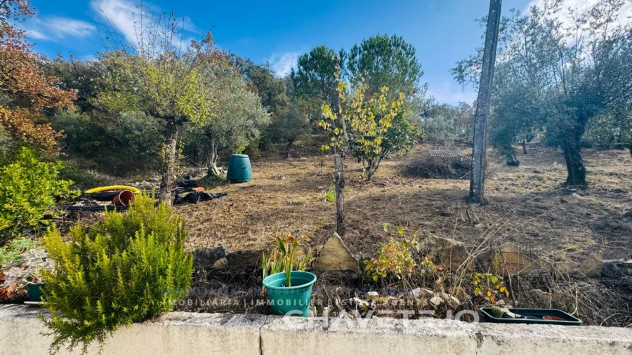 Quinta T2 para Venda em Alvaiázere Foto 10