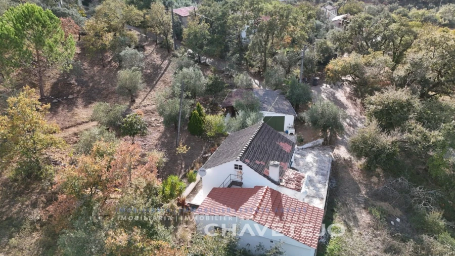 Quinta T2 para Venda em Alvaiázere Foto 31