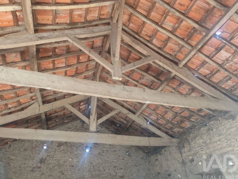 Moradia para Venda em Mogadouro, Valverde, Vale de Porco e Vilar de Rei Foto 16
