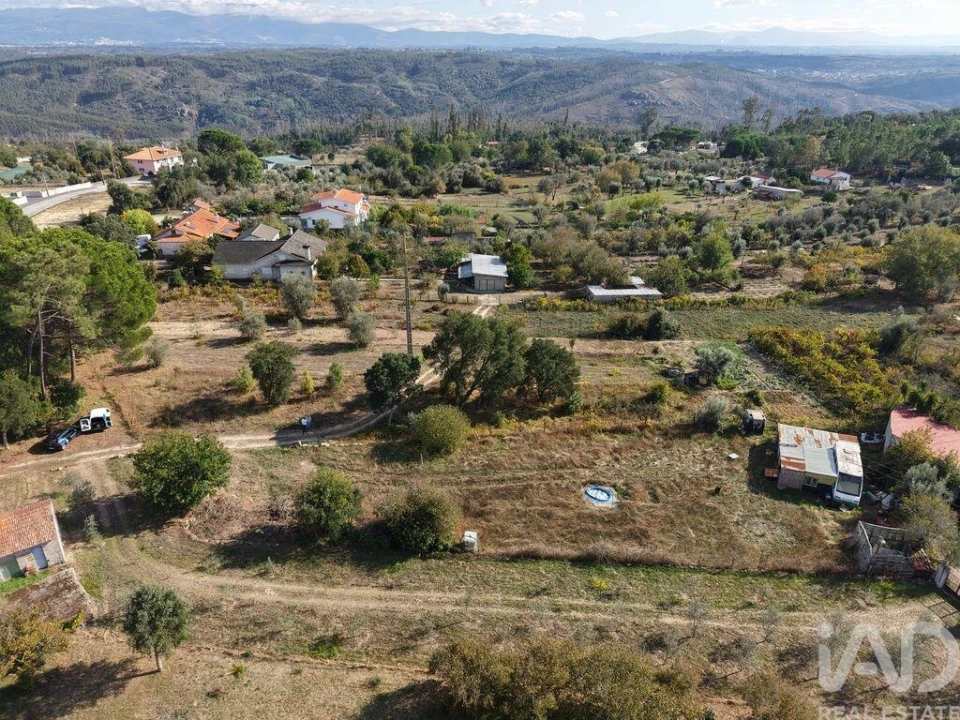 Terreno para Venda em Canas de Senhorim Foto 3