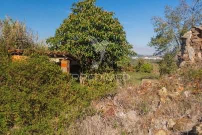 Quinta para Venda em Evora de Alcobaça