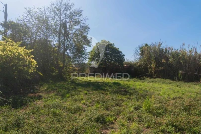 Quinta para Venda em Evora de Alcobaça