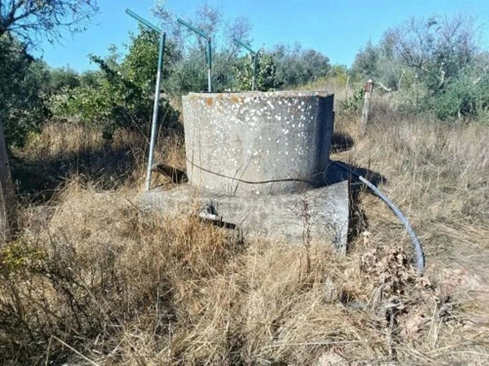 Terreno para Venda em Espírito Santo, Nossa Senhora da Graça e São Simão Foto 18